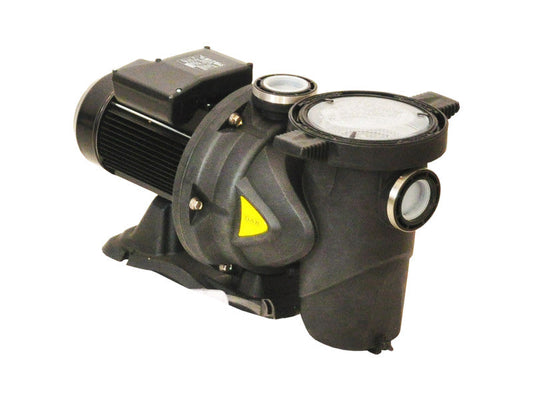 Leader Euroswim SPP150M Pool Pump